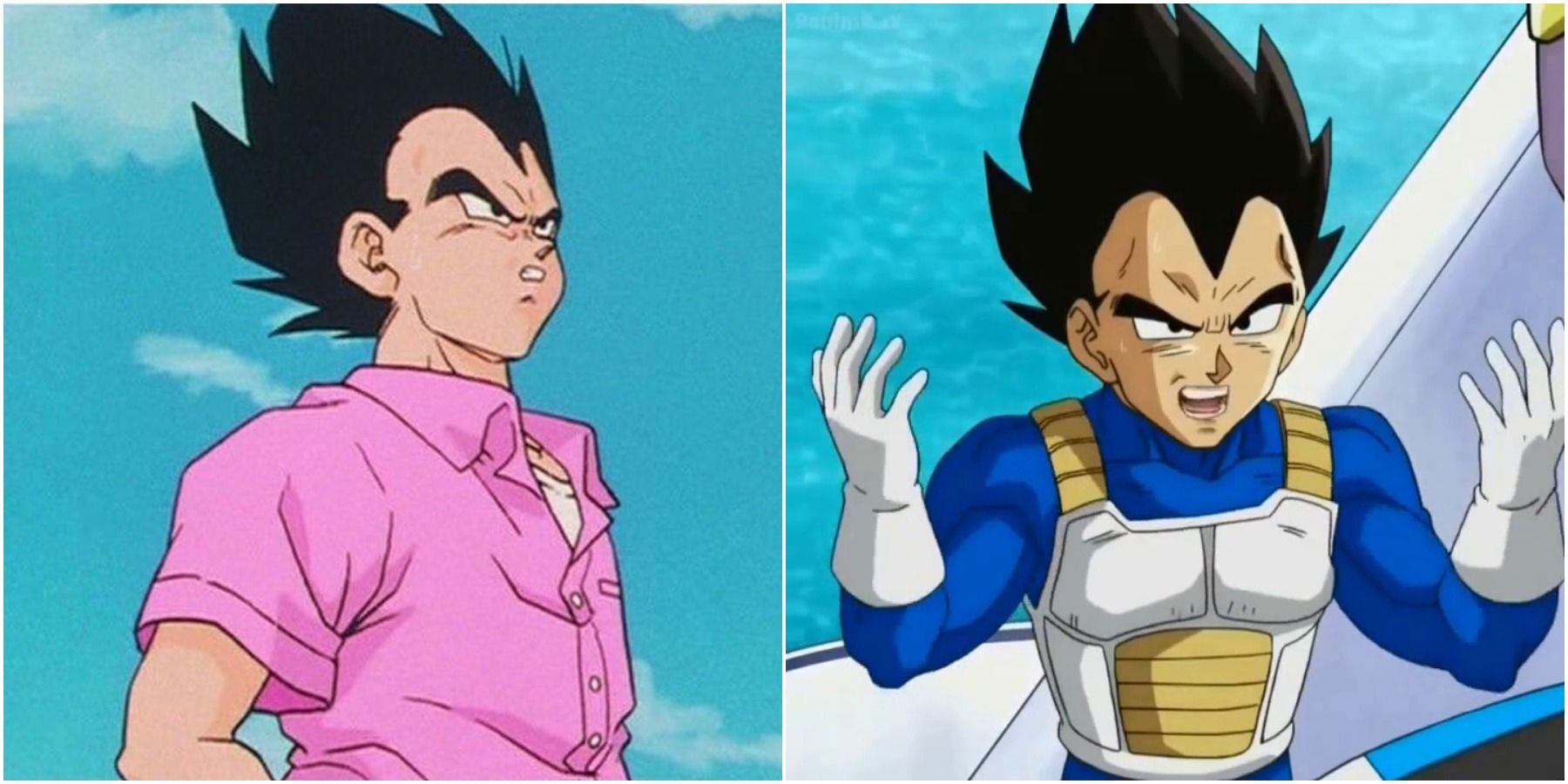 Funniest Vegeta Moments In Dragon Ball Z