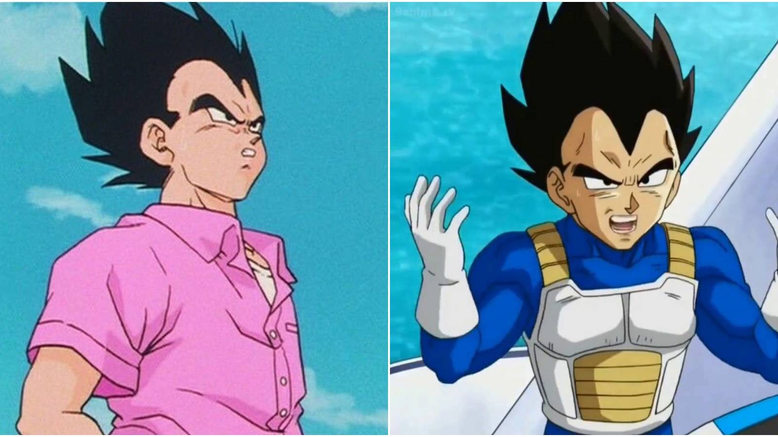 Funniest Vegeta Moments In Dragon Ball Z