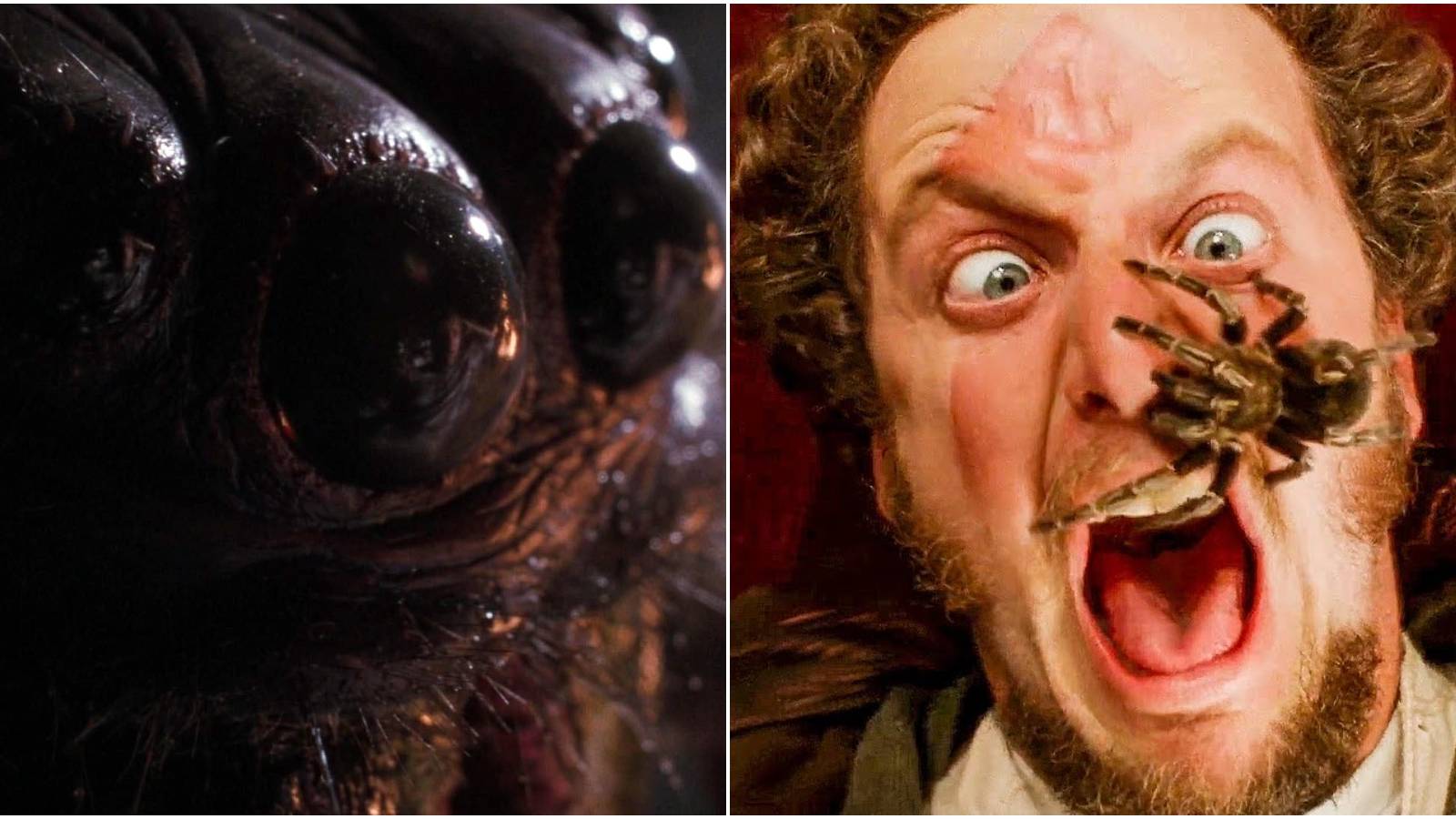 Famous Spiders Most Terrifying Spiders In Movies