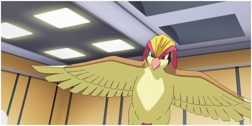 Pidgeot with wings spread.