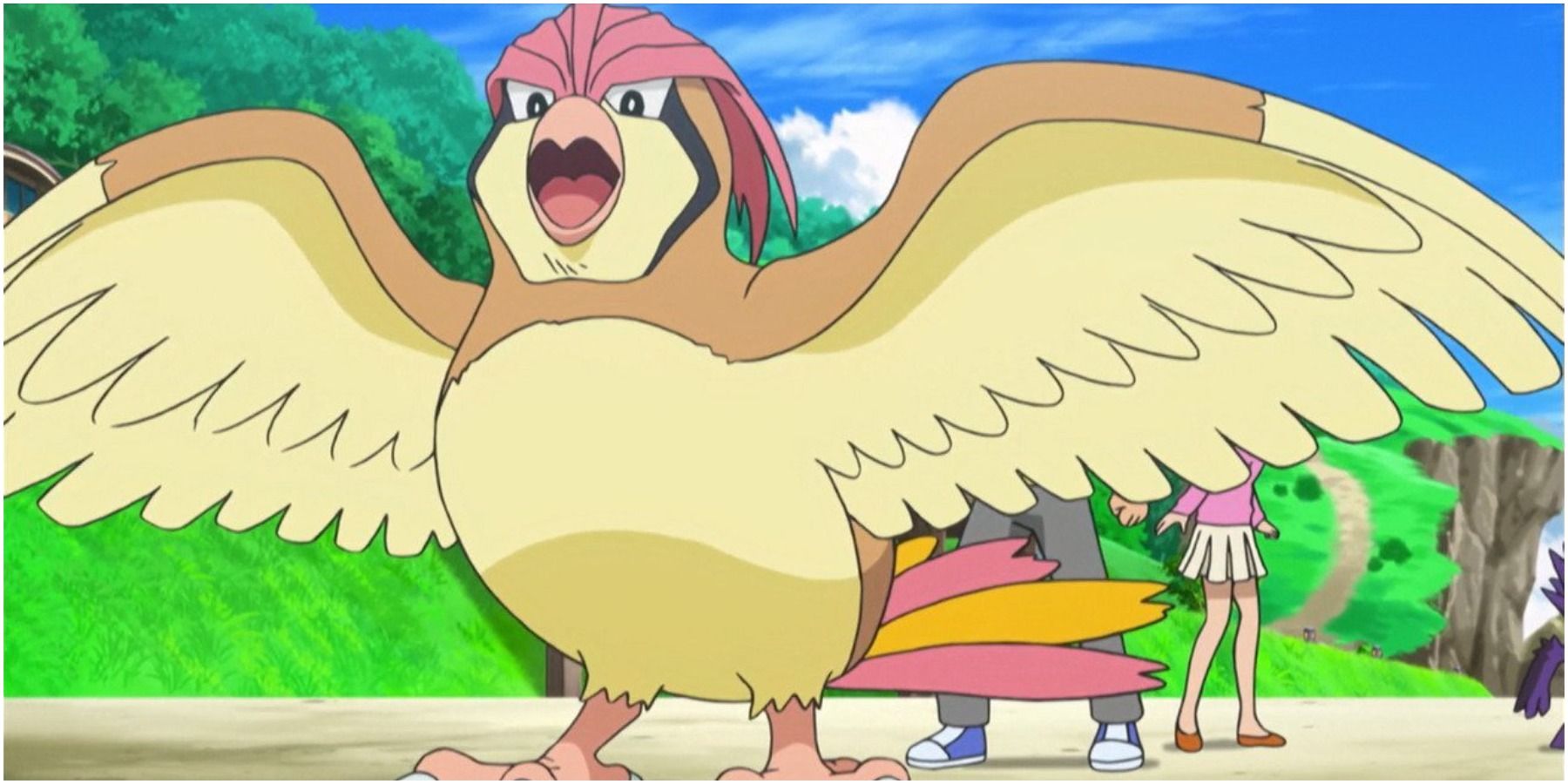 Pidgeotto with wings out in Pokemon