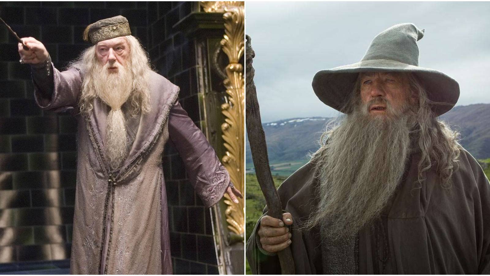 Dumbledore Vs. Gandalf The Grey: Who Would Win In A Fight?