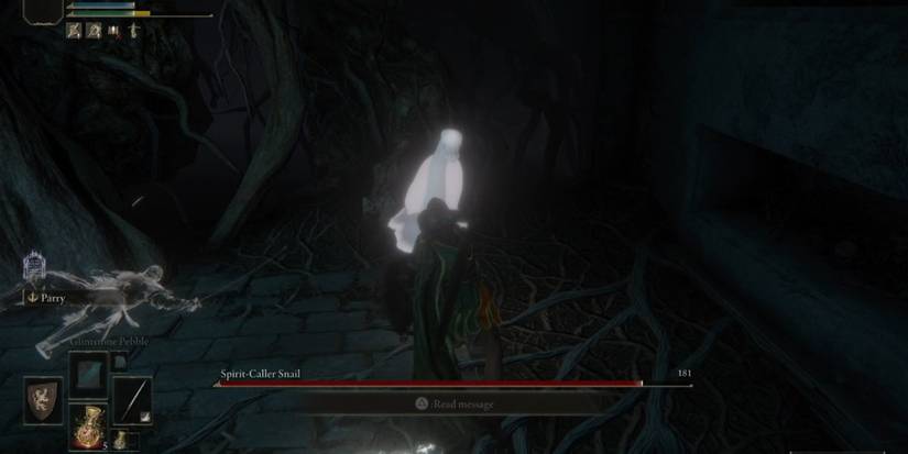 Player fighting Spirit-Caller Snail in Elden Ring.