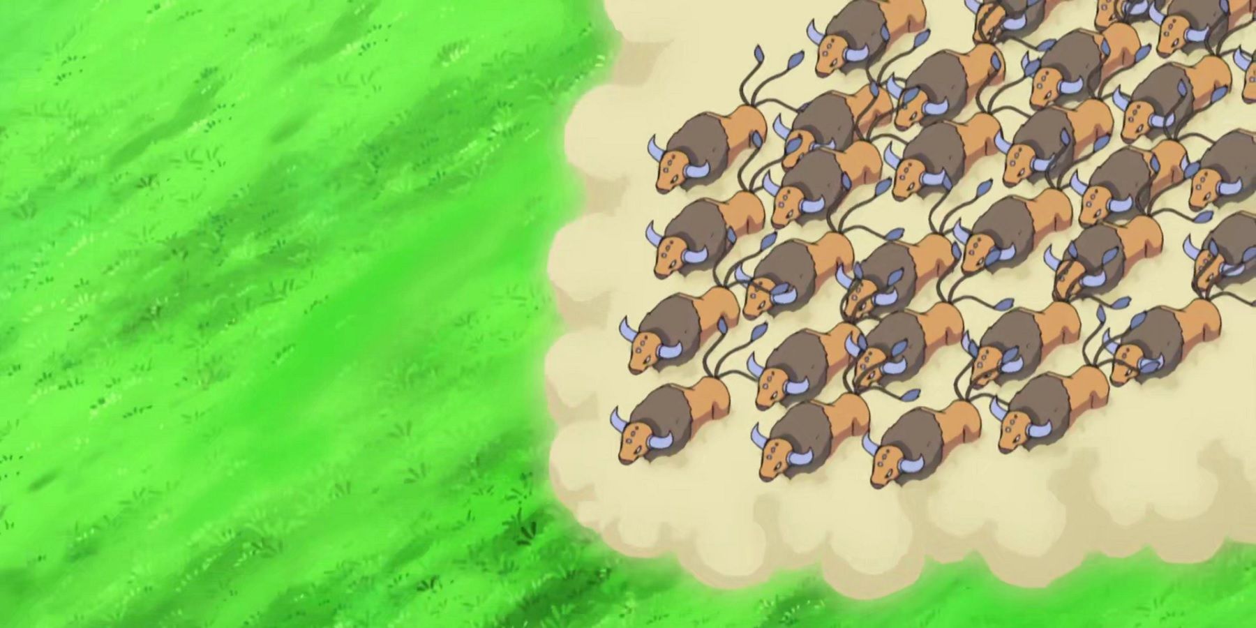 pokemon anime tauros stampede