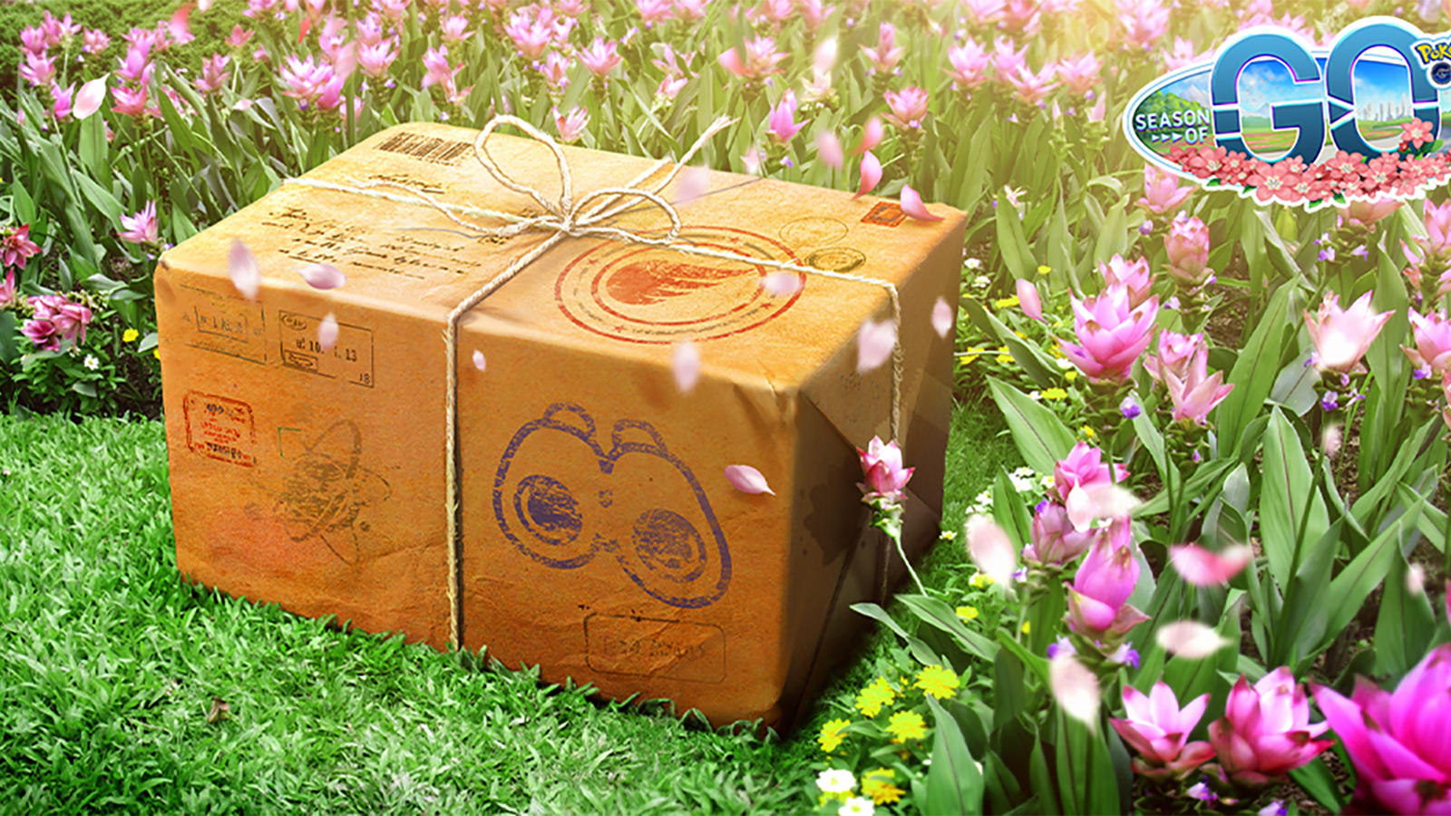 pokemon-go-june-2022