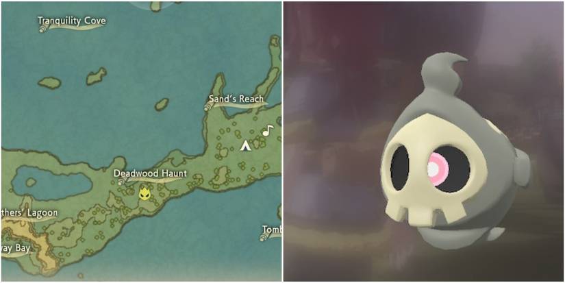 pokemon legends arceus duskull location