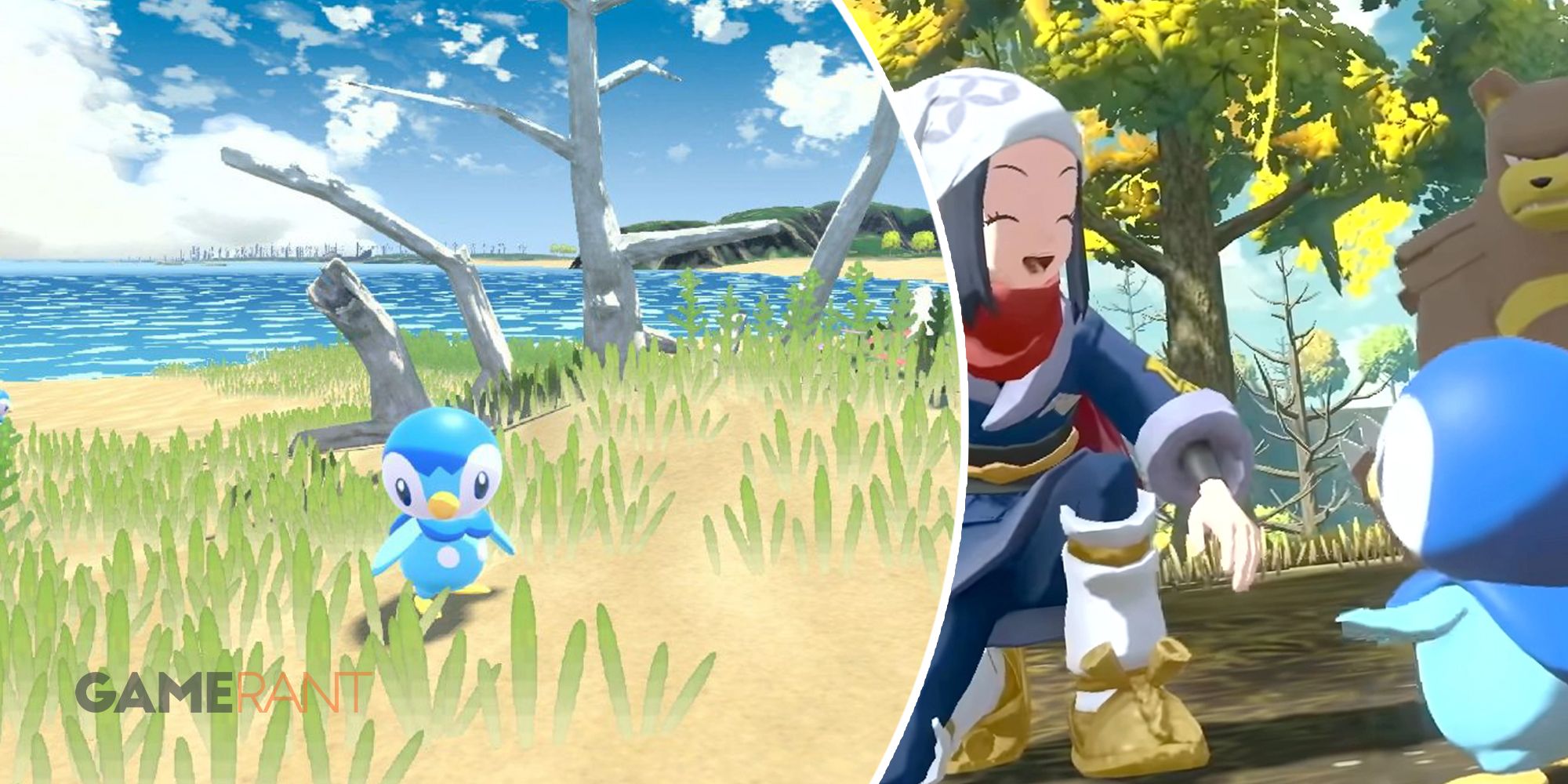 Pokemon Legends Arceus Piplup on left, player interacting with Piplup on right