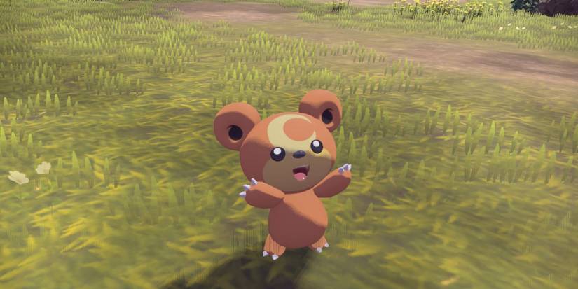 pokemon legends arceus teddiursa