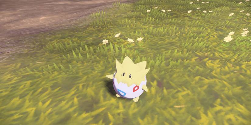 pokemon-legends-arceus-togepi-1