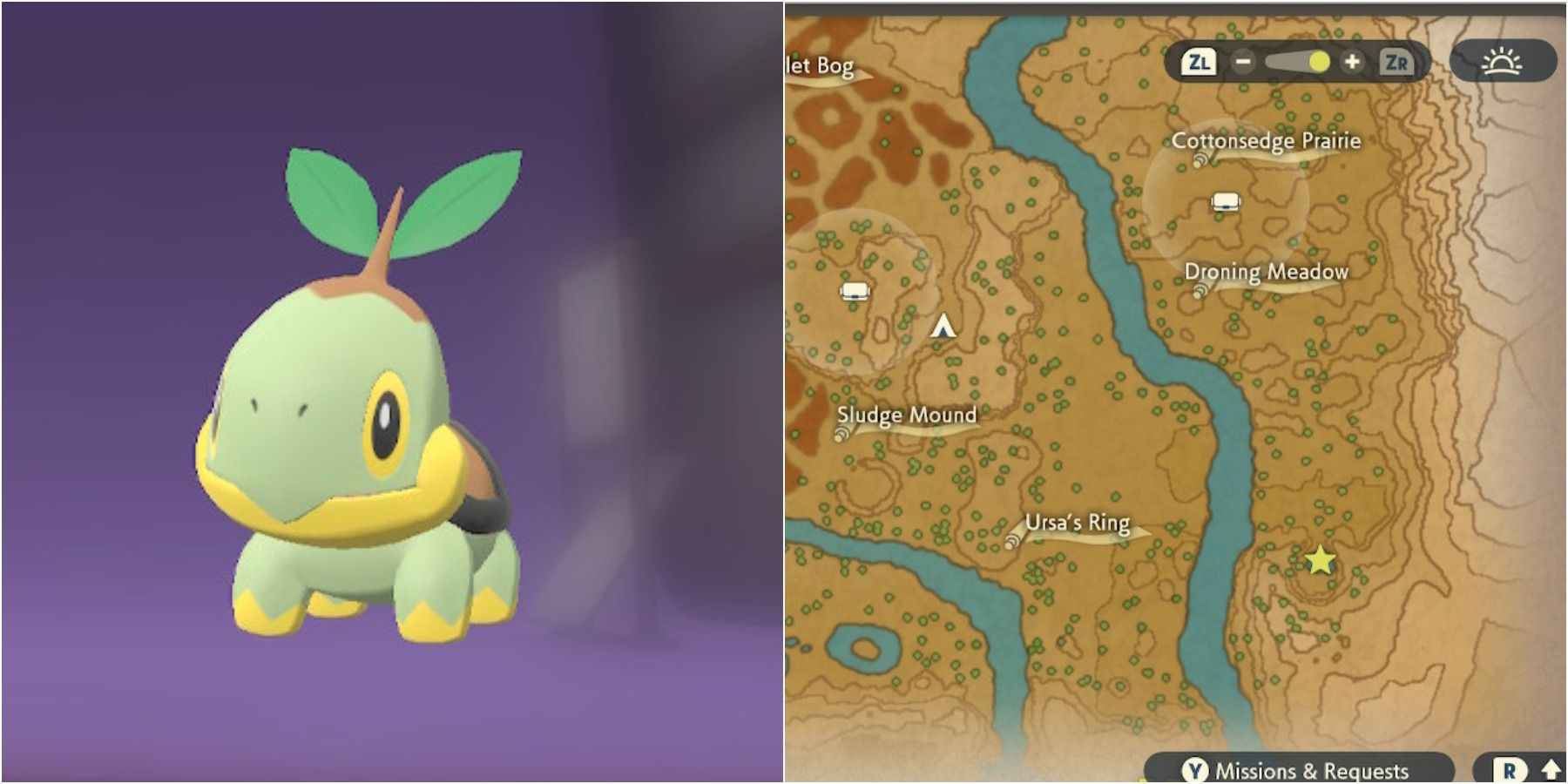 pokemon legends arceus turtwig location