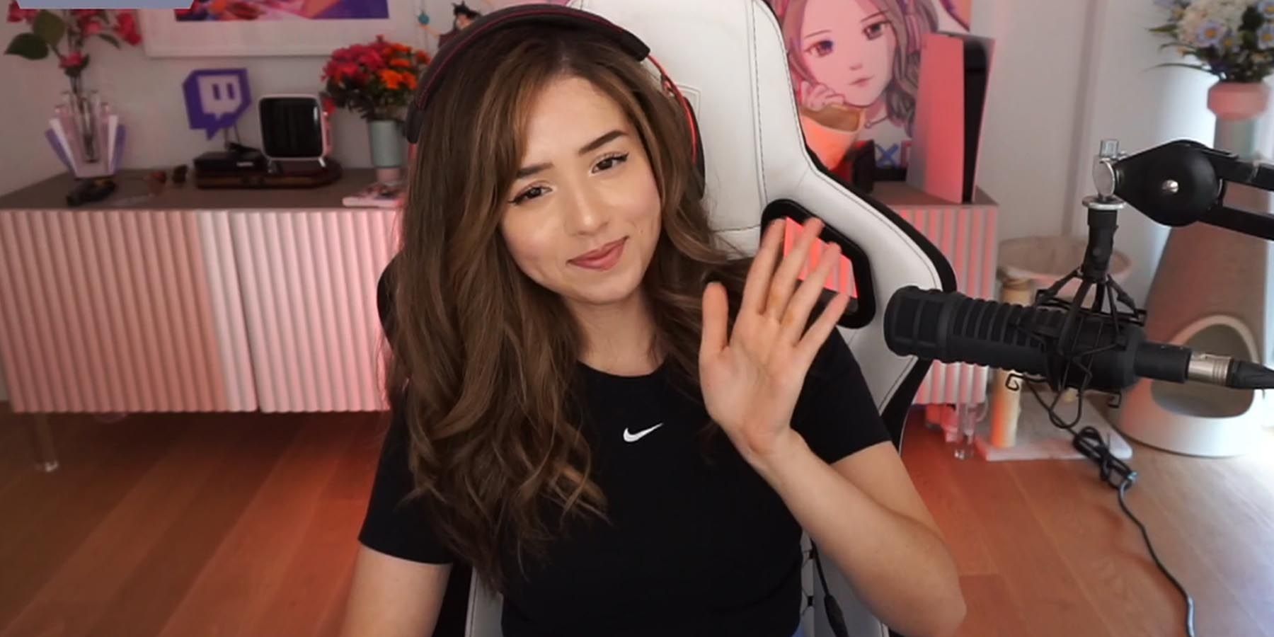 pokimanetwitch