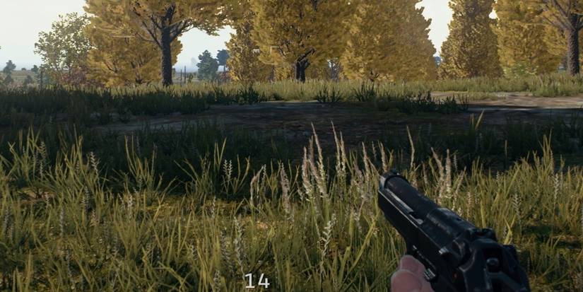 FPS perspective of player holding a gun