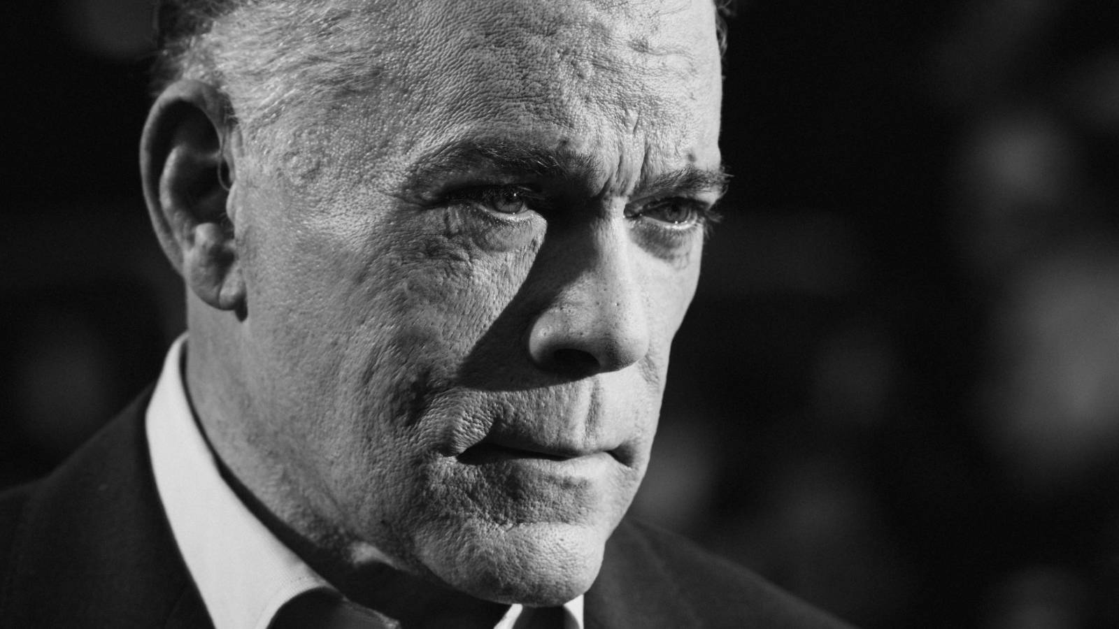 ray liotta video game characters