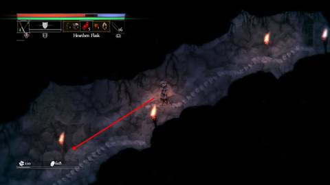 salt and sacrifice how to co op