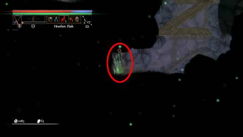 salt and sacrifice how to coop