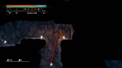 salt and sacrifice how to coop