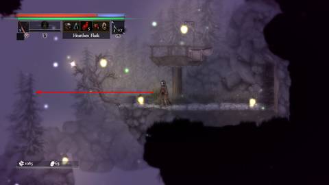 salt and sacrifice how to coop