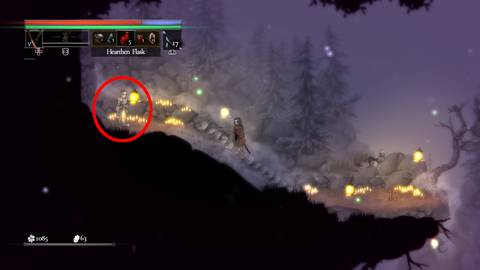 salt and sacrifice how to coop