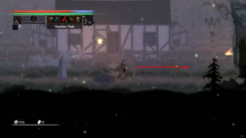 salt and sacrifice how to coop