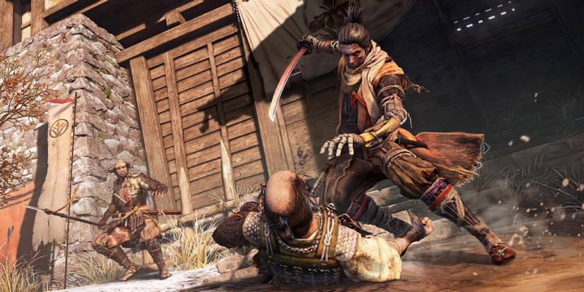 sekiro fromsoftware elden ring dark souls posture stamina poise expand system
