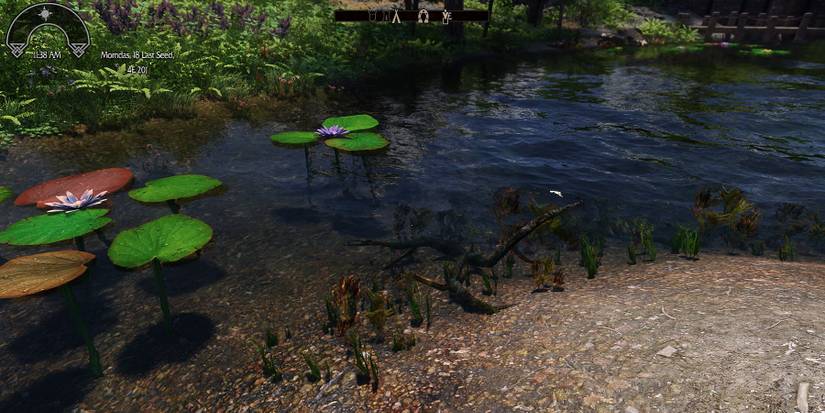 Image from The Elder Scrolls 5: Skyrim showing a lake with high definition graphics.