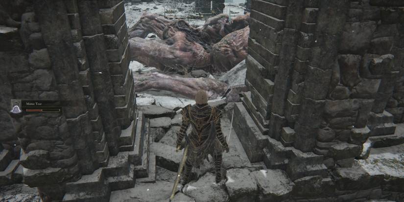 sleeping troll in yelough anix ruins in elden ring