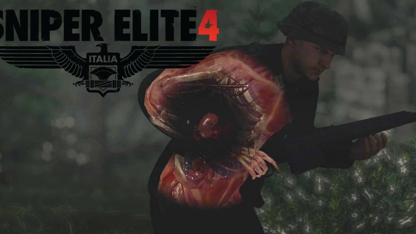 sniper elite 4 liver shot