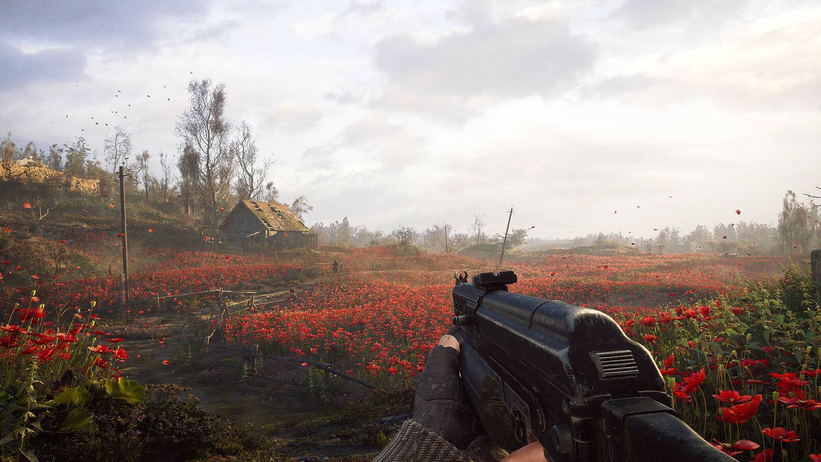 stalker-2-red-flower-field