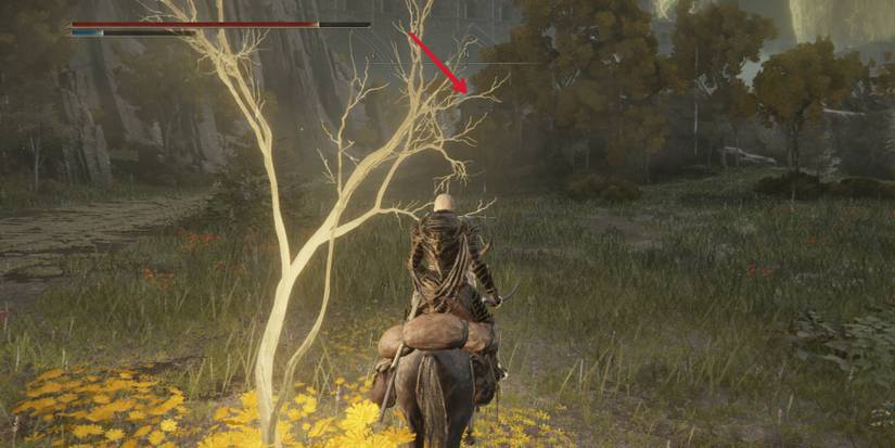 stormhill shack location in elden ring