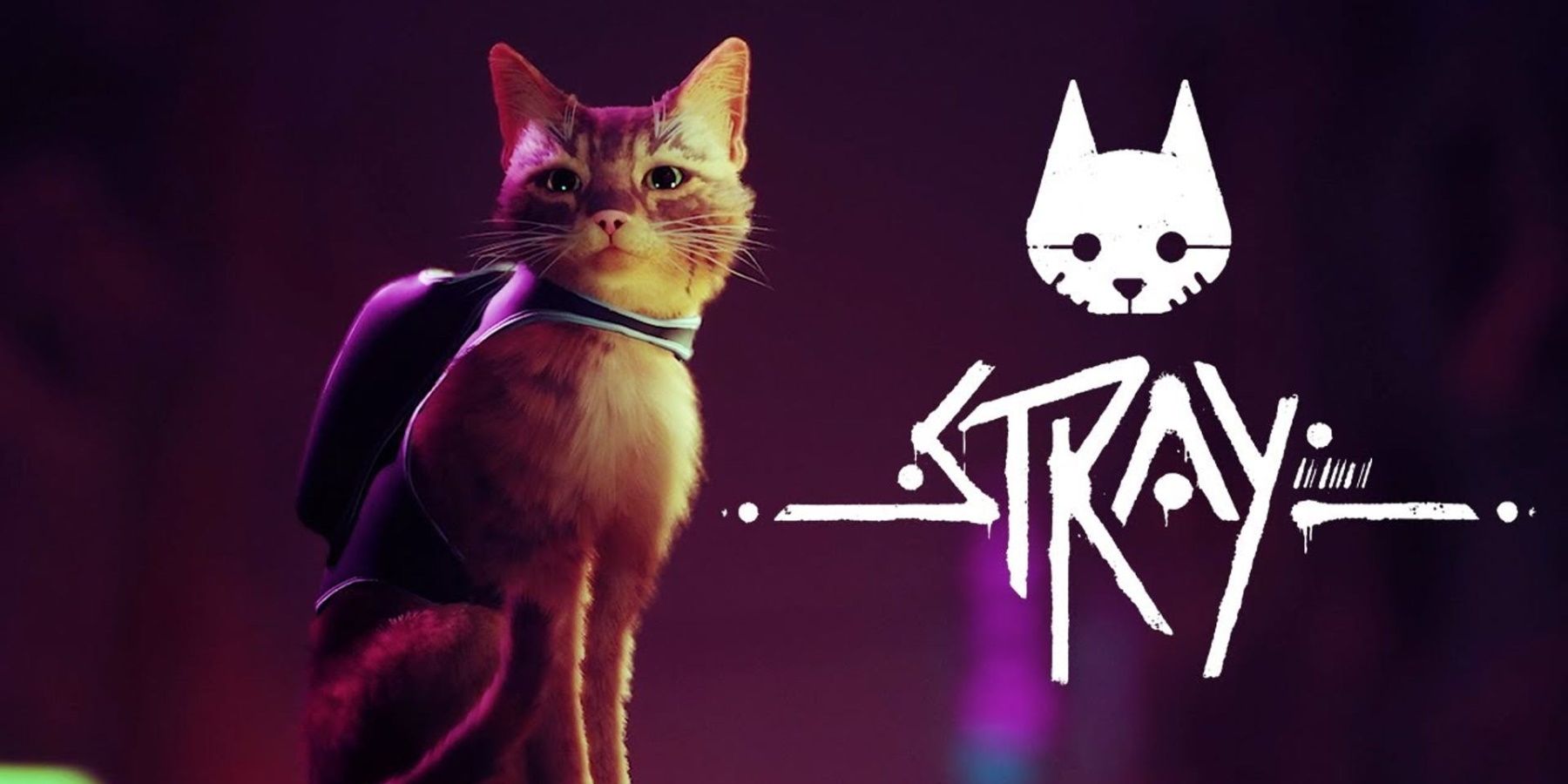 stray-playstation-cat-game-release-date-leaked