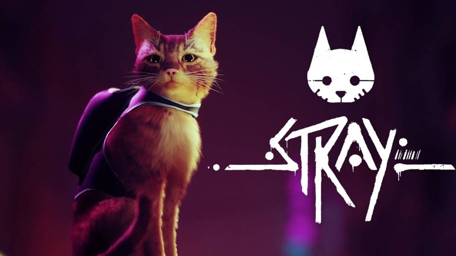 stray-playstation-cat-game-release-date-leaked
