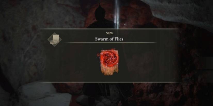 swarm of flies in elden ring