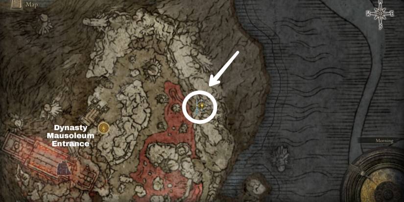 swarm of flies location in elden ring