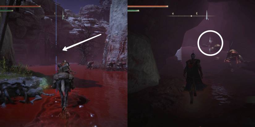 swarm of flies tunnel entrance in elden ring