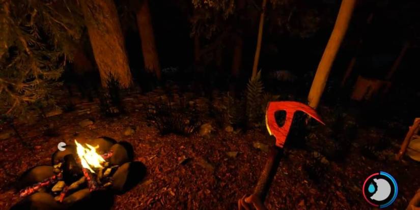 The Forest Night time