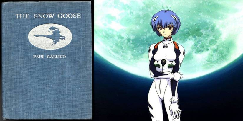 the-snow-goose-and-rei-2