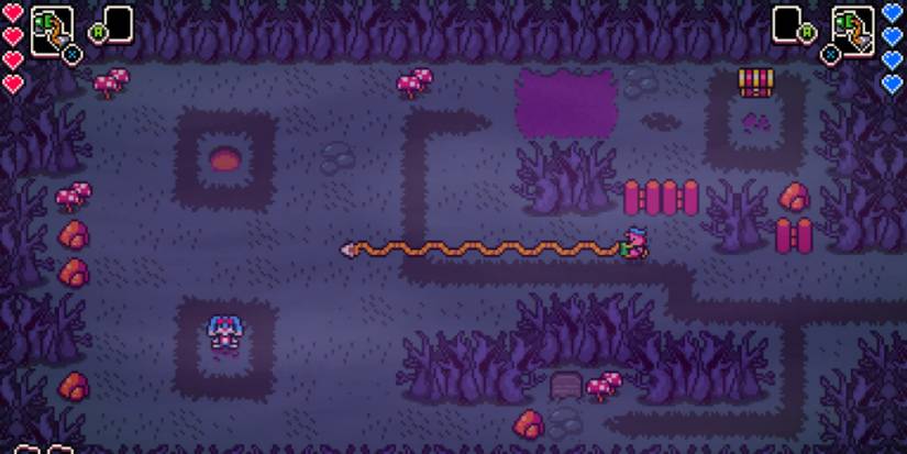 using the hook shot in spooky forest stage in dandy and randy dx