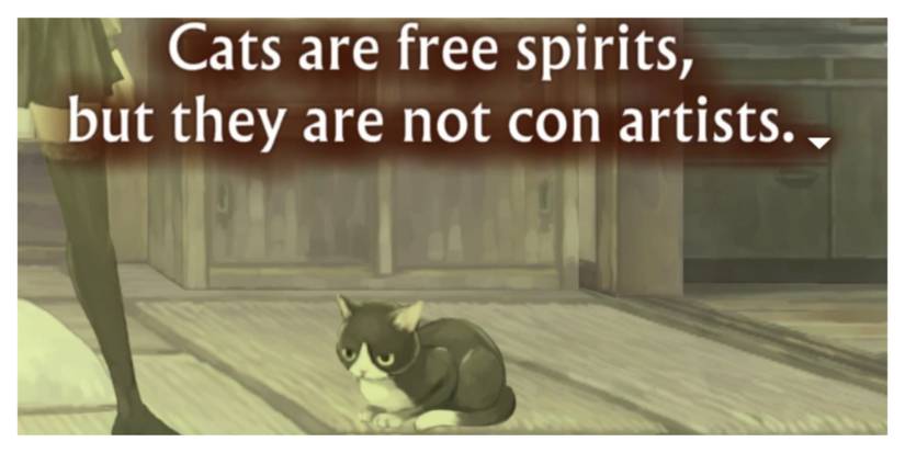 13 Sentinels Fluffy the cat