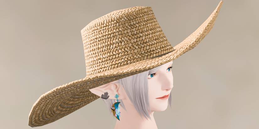 A Straw Hat in Final Fantasy