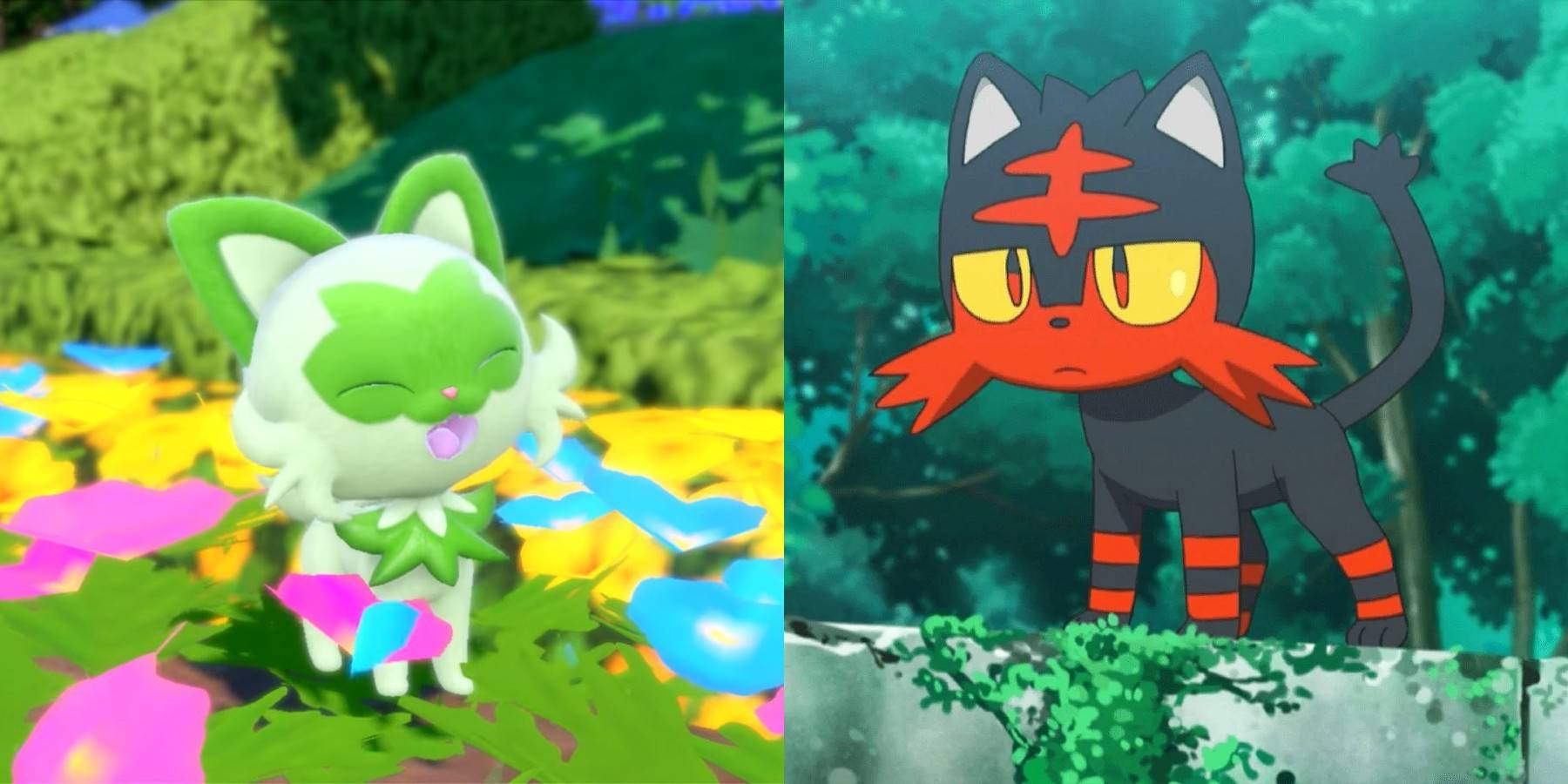 Litten and sprigatito