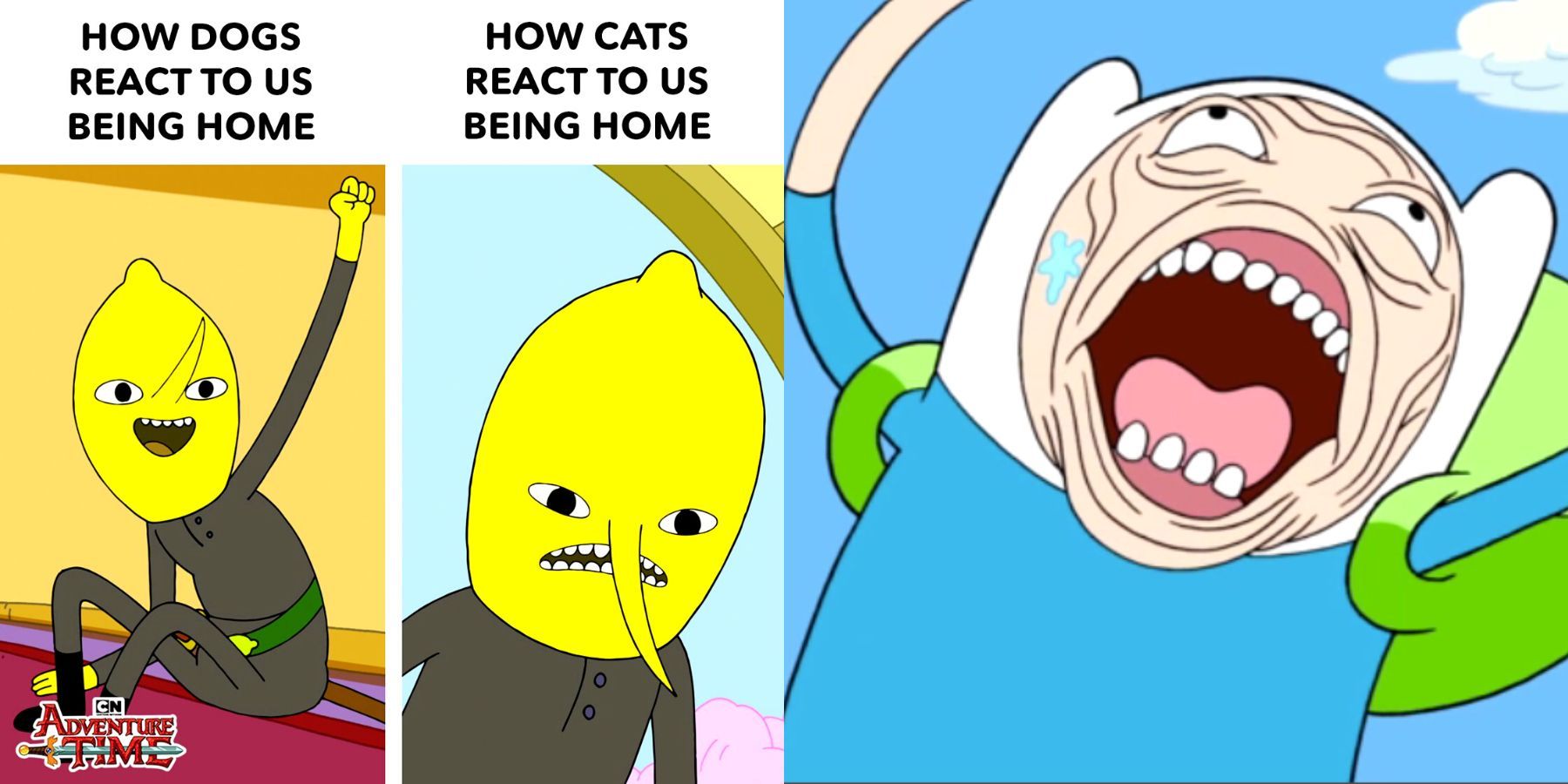 Adventure Time / Memes - TV Tropes