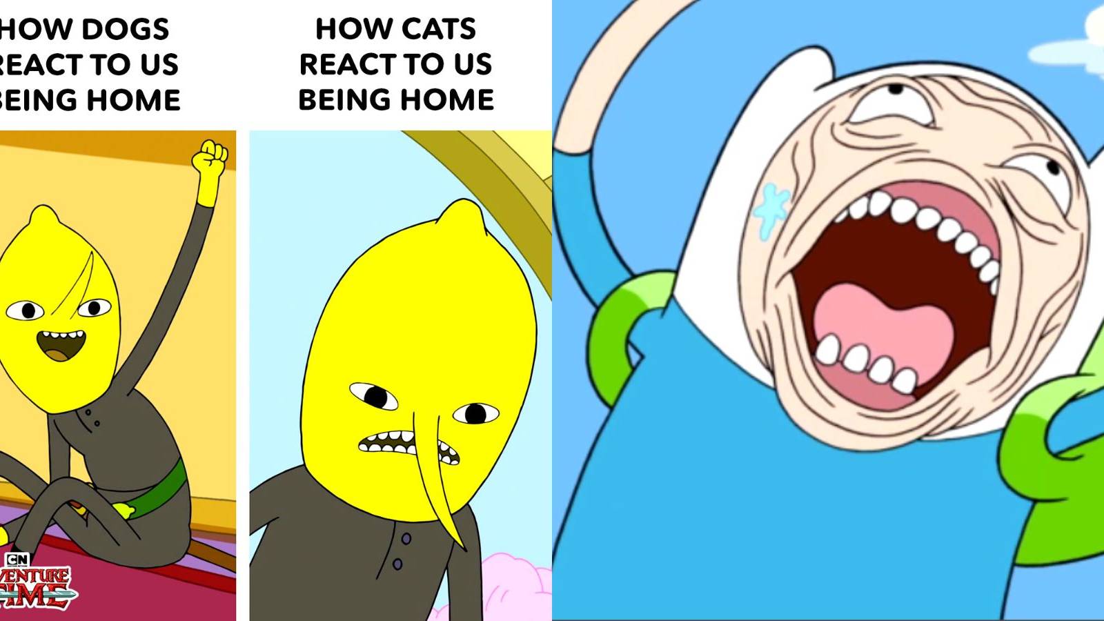 Adventure Time Memes Feature Image
