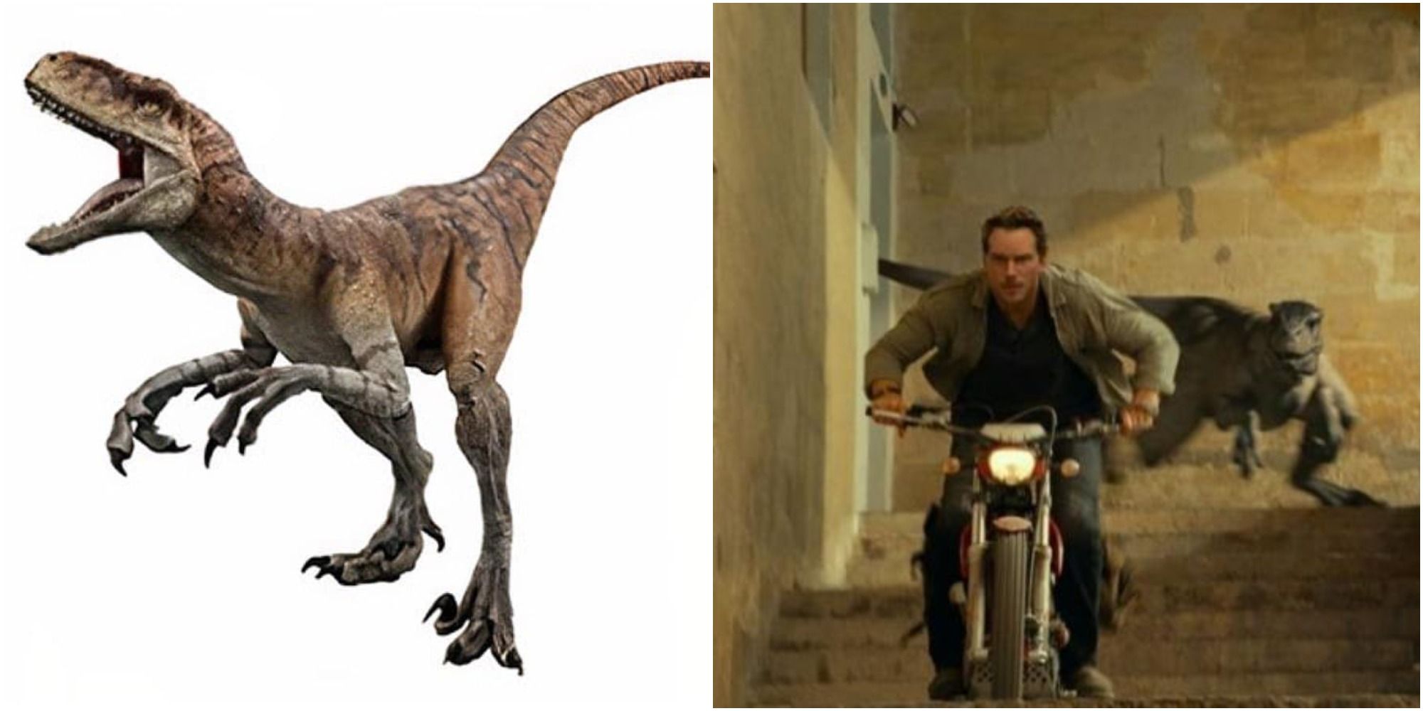 Atrociraptor Jurassic World Dominion 