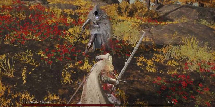 Black Knife Assassin in elden ring