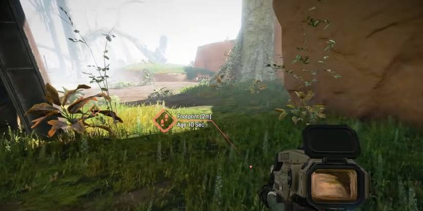 Bloodhound looking at details through his passive