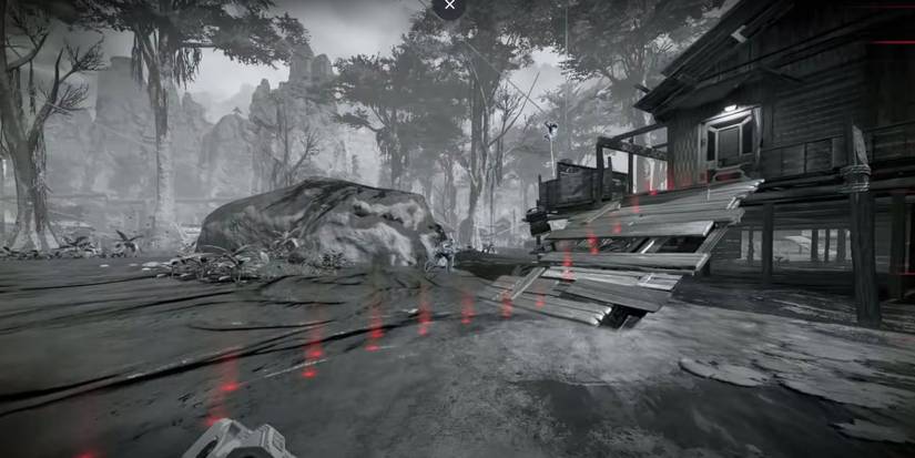 Bloodhound tracking foe footprints