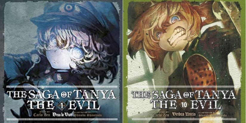 light novel volume cover 