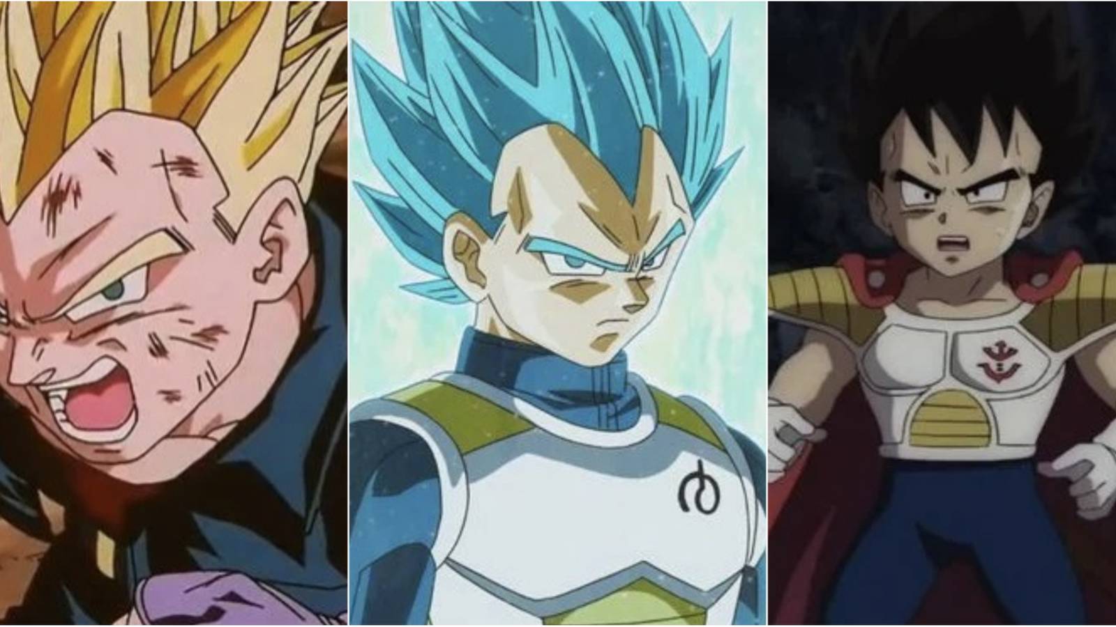Dragon Ball - Vegeta's Best Looks