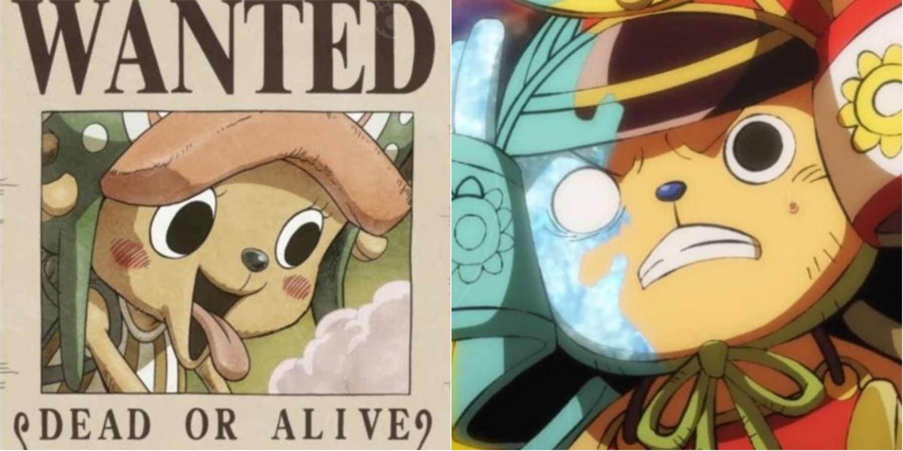 How much will Tony Tony Chopper's bounty cost if it was given