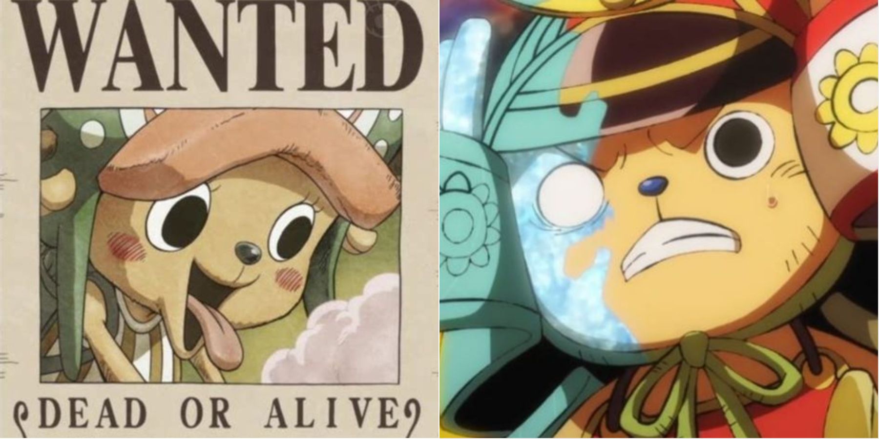 What would Chopper's bounty be if the World Government knew about Monster  Point? : r/OnePiece